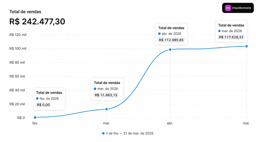 Painel de vendas do Shopify do cliente